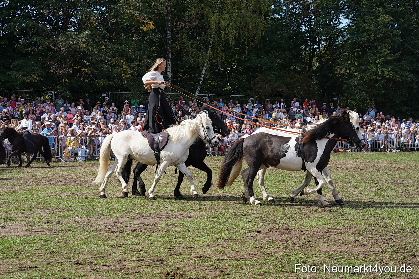 Pferde und Fohlenschau 2022 0280 
